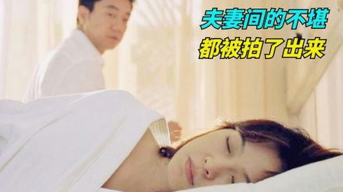 娱乐圈实时爆料大揭秘，吃瓜少女与狗仔风云