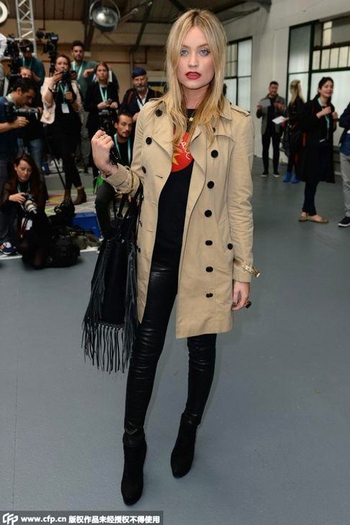 娱乐圈大揭秘与小猫咪视频下载攻略